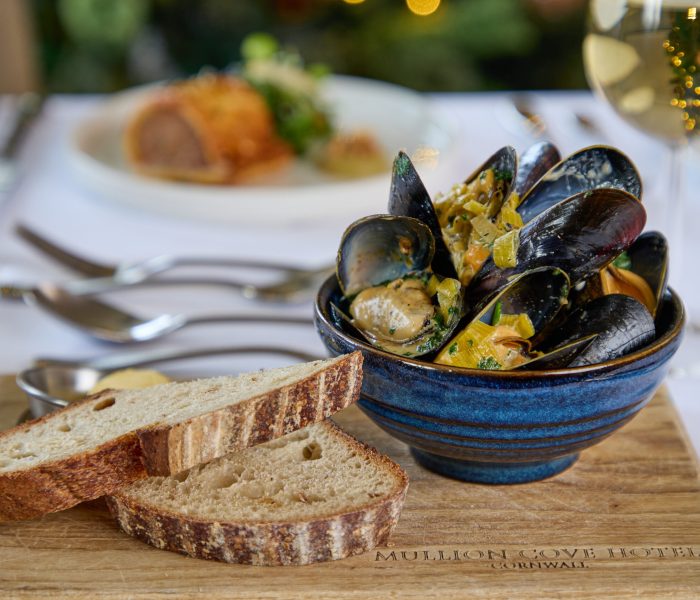 High Res Mullion Cove Christmas_Poppy Jakes Photography-0412230202