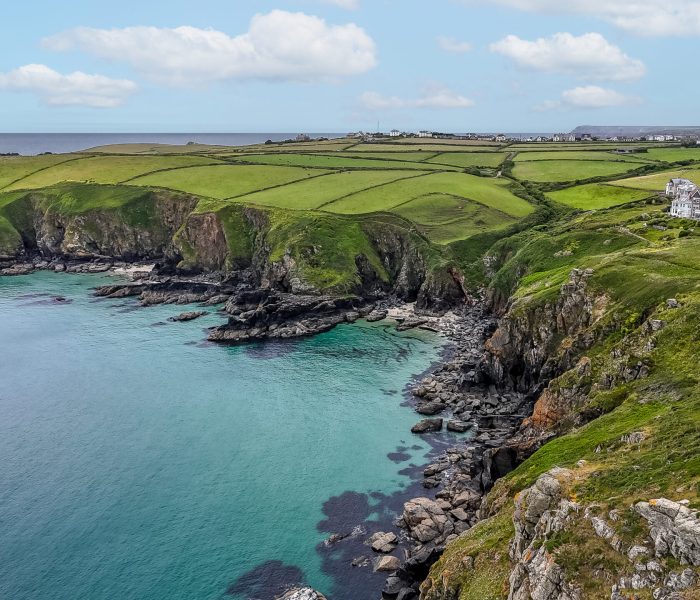 Wireless Cottage_Poppy Jakes Photography-63