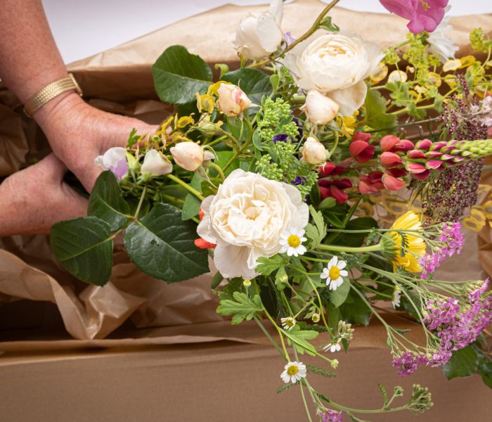 products_Photography_Poppy Jakes Photography-2830